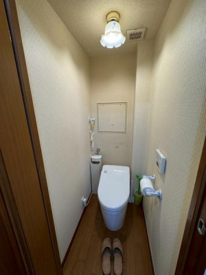 gC@gCłylIR[|R705zSFc