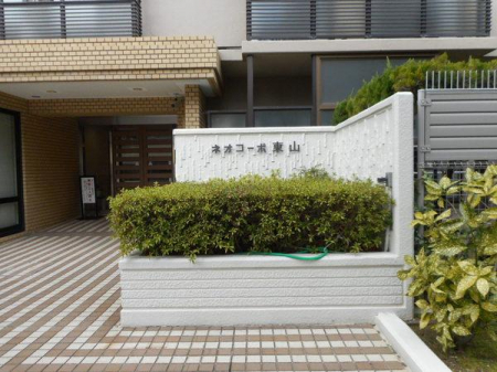 ̑n@nGgXOłylIR[|R705zSFc