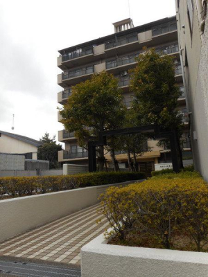 ̑n@Ŝ̂ʐ^łylIR[|R705zSFc