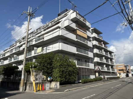 ̑n@OςłByV}R[|~307zSFXc