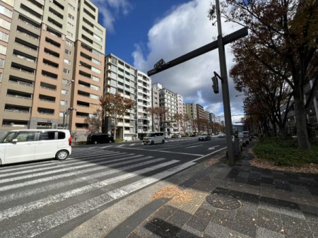 ���̑��@�O�ʓ��H�ł��y���l�G�ی�r�z