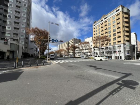 ���̑��@�O�ʓ��H�ł��y���l�G�ی�r�z