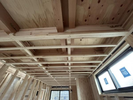 ���̑��@�ߘa8�N3��15���B�e�y�쐴�����z