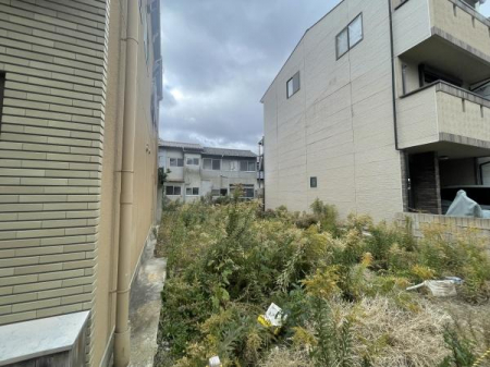 ���̑����n�@-