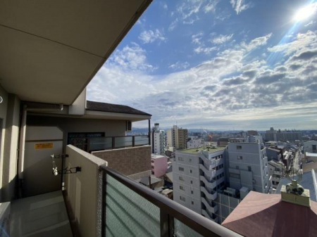 ̑@oRj[̒]łyfBIEtFeBk쓌zSFc