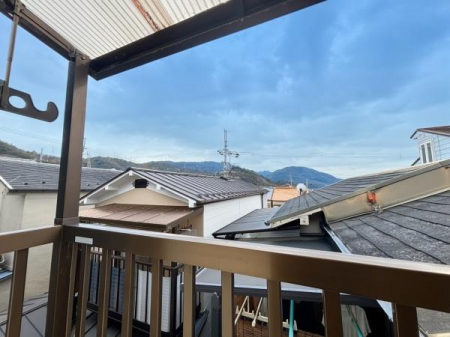 �Z�˂���̒��]�ʐ^�@���n����̒��]�ł��y�l�m�{�����ˁz�S���F�X�c