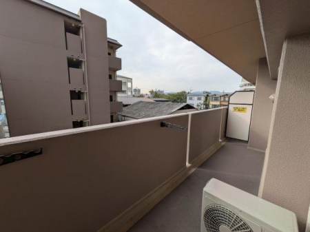 �o���R�j�[�@�o���R�j�[�ł��y���C�I���Y�}���V�����l���{�K�[�f���V�e�B�z�S���F�X�c