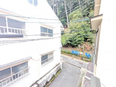 �Z�˂���̒��]�ʐ^�@�y�k����d�����z�S���F�X�c