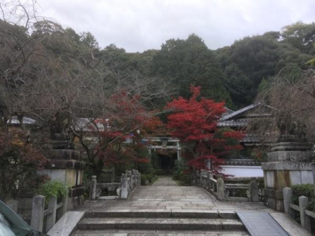 ���̑��@�k����V�_�{