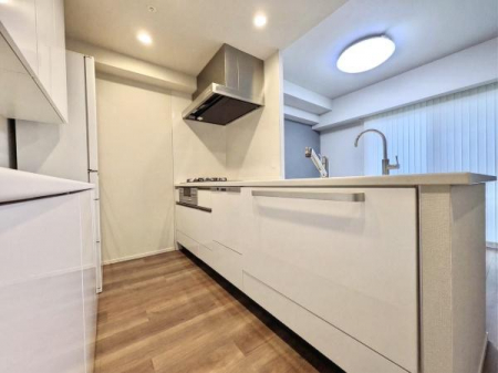 �L�b�`���@�y�v���ɂ�鐴�|��ɂ����n���z�R���K�X�R�����A�O�����A�򐅊�E�H��@�t�̑��@�\�V�X�e���L�b�`���ł��B