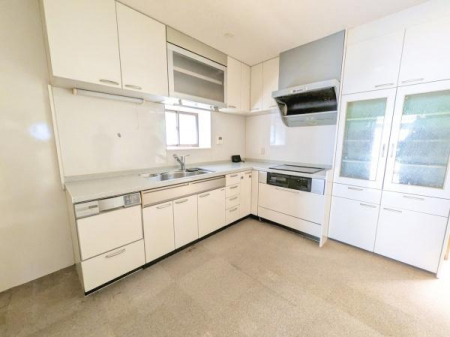 ���r���O�@�L�b�`���ł��y�~�P���R�蒬�z�S���F�X�c