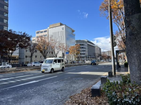 ���s�{���s�s�����扺�ۉ��� 413-4�̒��Ã}���V�����̂��̑�